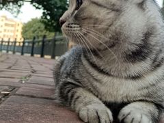 -海宝酒家(中山四路店)