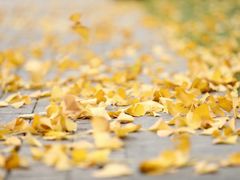 -杭州城北体育公园