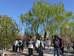 -元大都城垣遗址公园