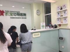-悦宠凯宝动物医院·牙科·皮肤科(朝阳北路店)