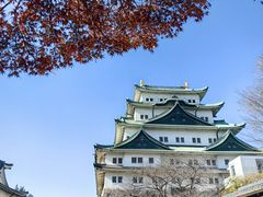 -名古屋城