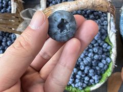 -南坛综合农贸市场