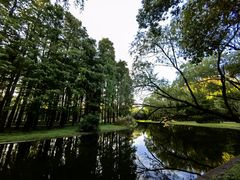 -上海共青森林公园