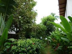 android_upload_pic-椰树岛海滩度假村