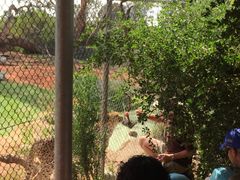 -威勒比开放式动物园