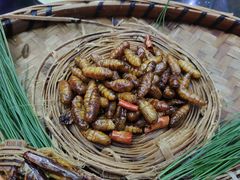 -昆虫窝子·特色云南菜(拓东路总店)
