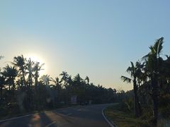 -东郊椰林