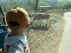 -西安秦岭野生动物园