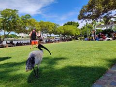 -布里斯班南岸公园