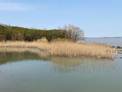 -上海吴淞炮台湾国家湿地公园