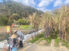 -福建土楼(南靖)景区