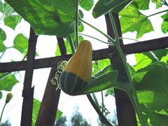 -白渔泡湿地公园