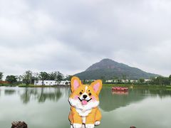 -桃花岛景观公园