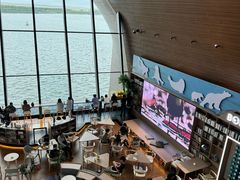 -抱抱地球咖啡馆(国家海洋博物馆店)