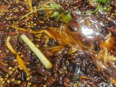 -鸿顺老铁锅美蛙鱼府(解放碑店)