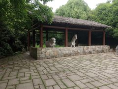-白马涧龙池景区