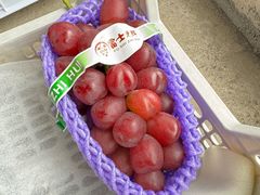 -马陆小张葡萄园农家乐