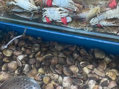 -港畔赶海蒸汽海鲜烧烤自助(仙螺岛店)