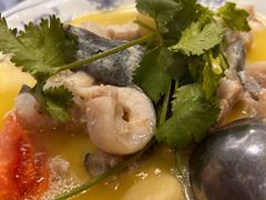 清烧江团-陈胖子鱼庄(黄辣丁新津店)