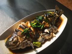 酱焖虹鳟鱼-青龙潭鱼庄