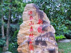 -黄埔油麻山森林公园