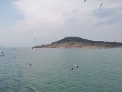 -海驴岛(荣成市)