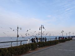 -东港音乐喷泉广场