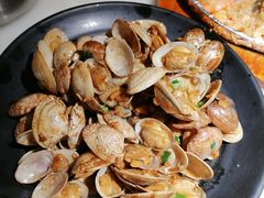 花蛤-佬肥猫(国华广场店)