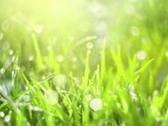 -黑河国家森林公园