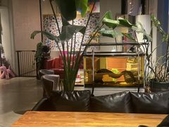 -百好乐宠物友好餐厅(朝外大街店)