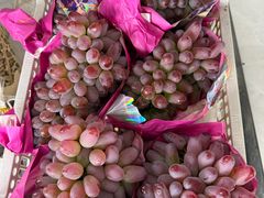 -马陆小张葡萄园农家乐