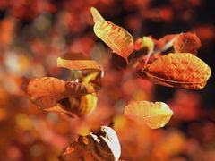 -周口店坡峰岭风景区