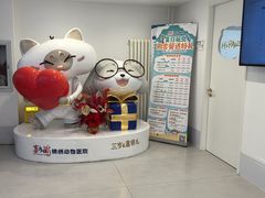 -喜多萌中农锦绣动物医院24H·猫科·牙科MRI·CT