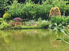 -深圳仙湖植物园
