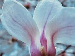 -东华门大街小区