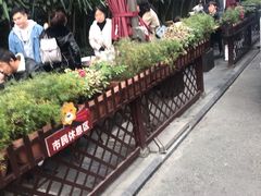 -钟方模白家肥肠粉(春熙店)
