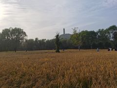 -北坞公园