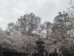 -堤角公园