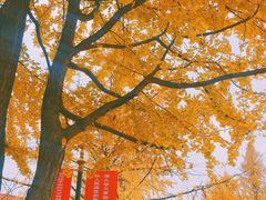 -西南民族大学南区(双流校区)