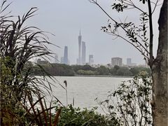 -海珠湖公园