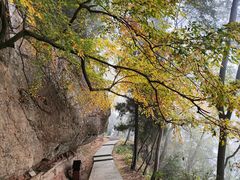 -窦圌山风景区