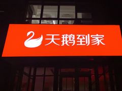 -天鹅到家·保姆月嫂育儿嫂(总店)