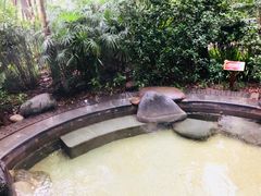 -青城道汤池