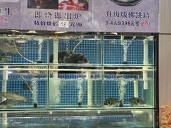 -祈胜邨•顺德鱼生•顺德菜(容桂店)
