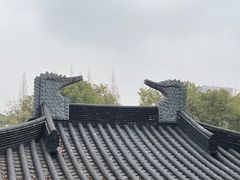 -枫桥景区