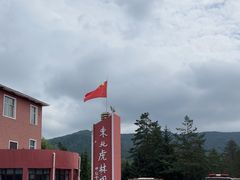 -横道河子东北虎林园