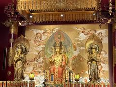 -新加坡佛牙寺龙华院