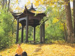 -千年银杏谷文化旅游区