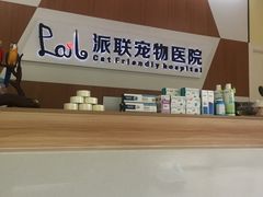 -派联宠物医院·24h·CT·异宠
