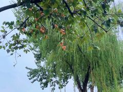 -汉长安城未央宫国家考古遗址公园